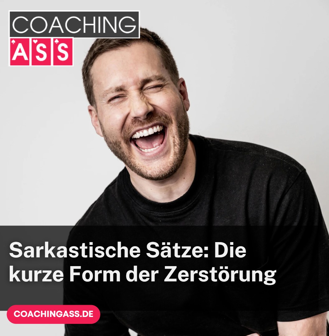 Sarkastische Sätze Die kurze Form der Zerstörung