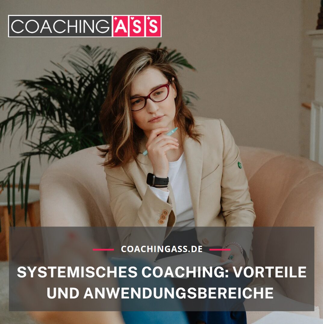 systemisches coaching
