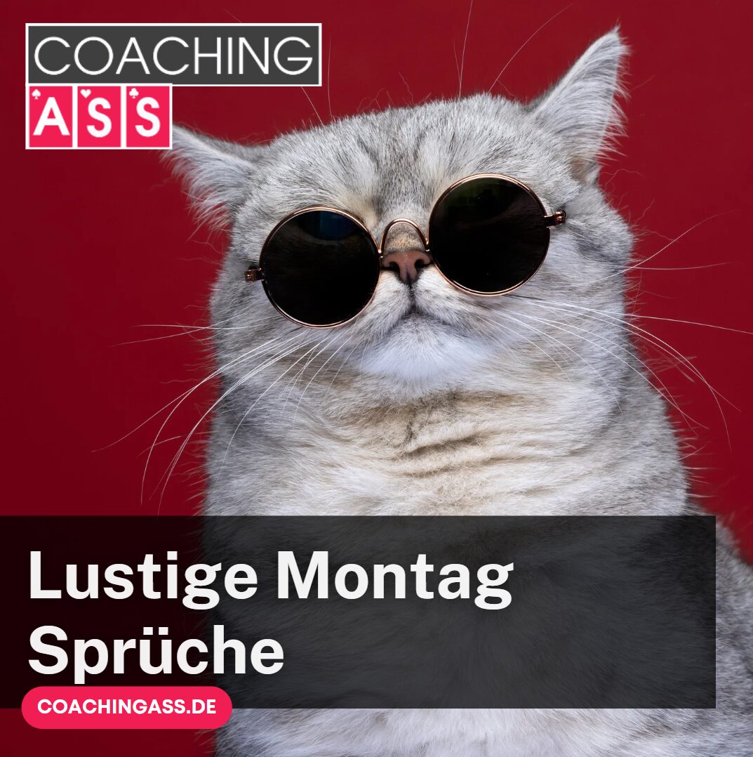 lustige montag sprüche zitate
