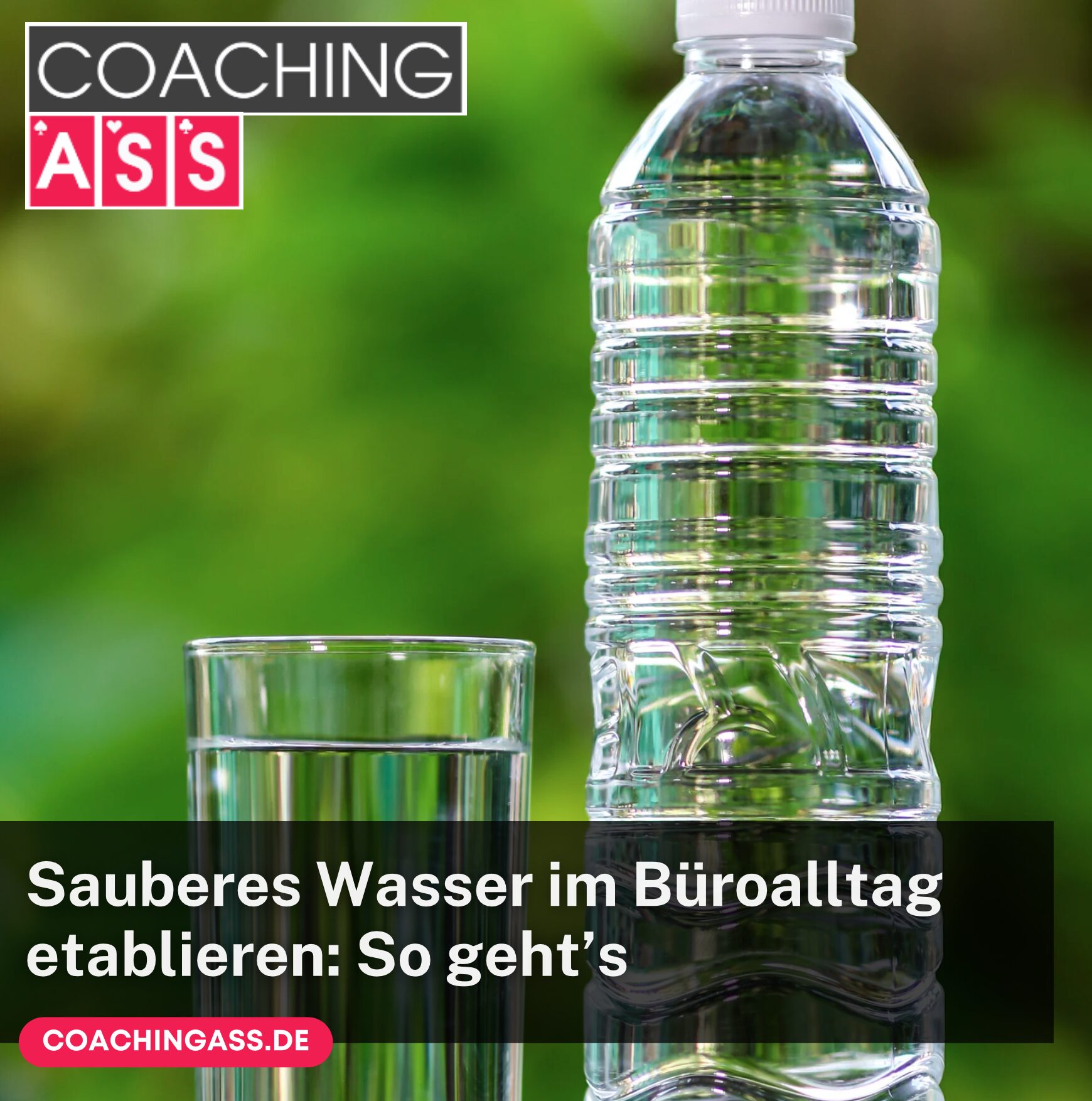 Sauberes Wasser im Büroalltag etablieren: So geht’s