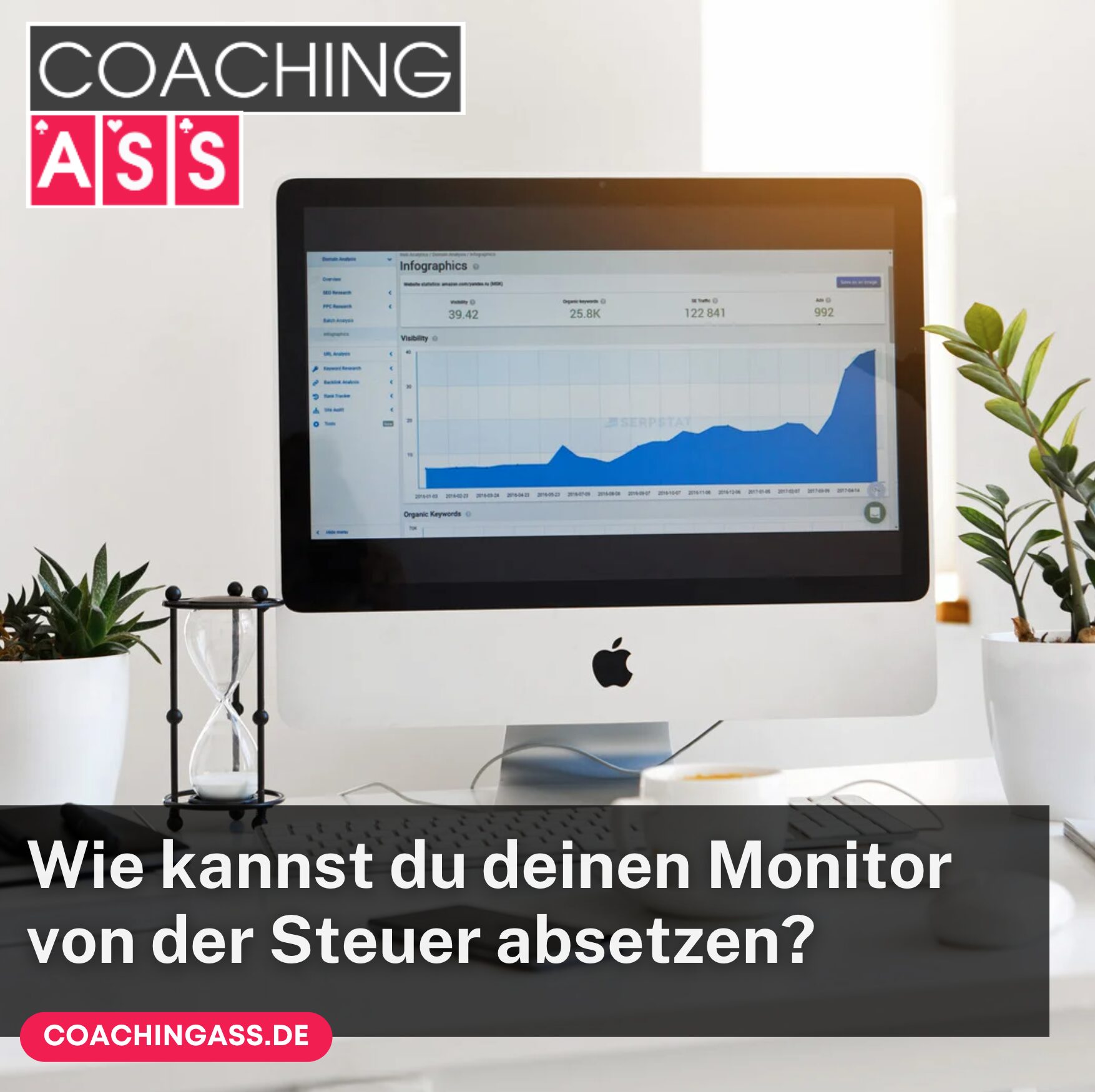 Wie kannst du deinen Monitor von der Steuer absetzen?