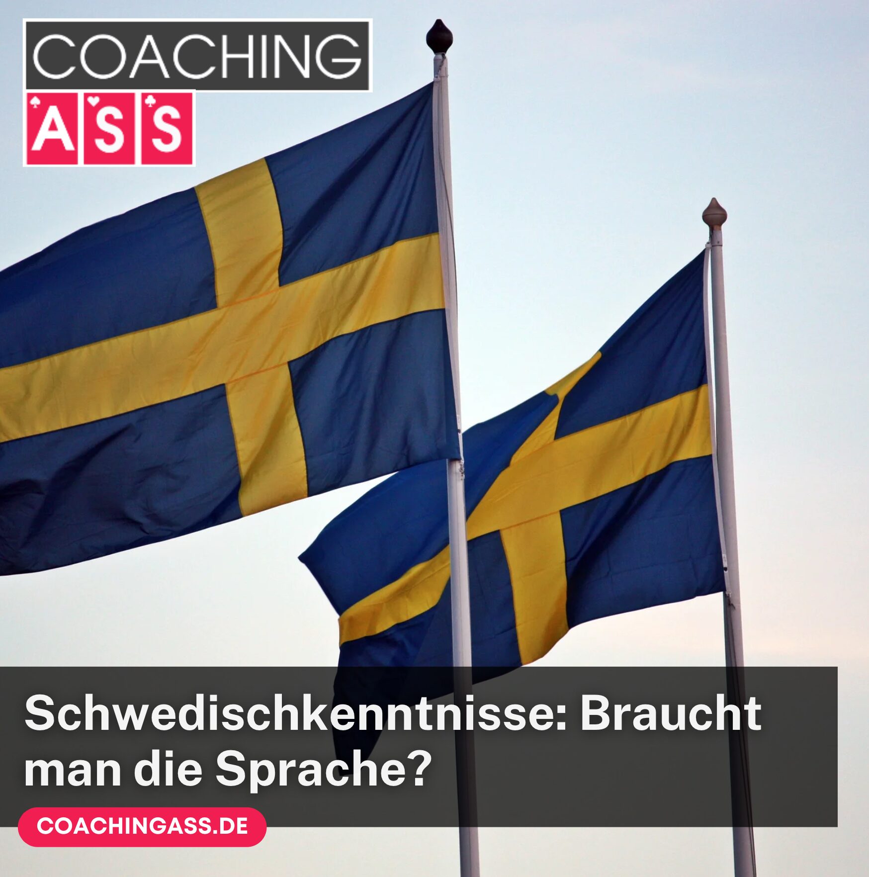 Schwedischkenntnisse: Braucht man die Sprache?