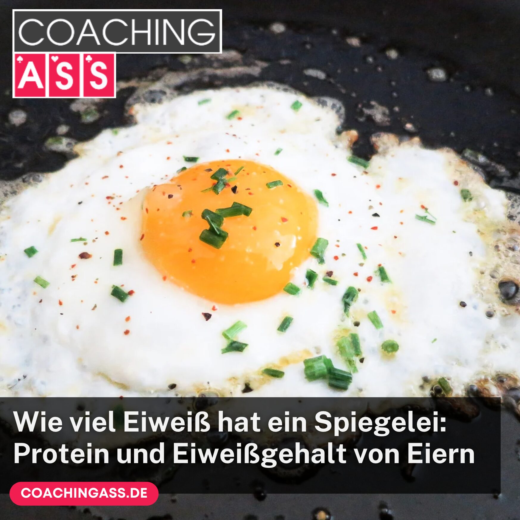 Wie viel Eiweiß hat ein Spiegelei: Protein und Eiweißgehalt von Eiern