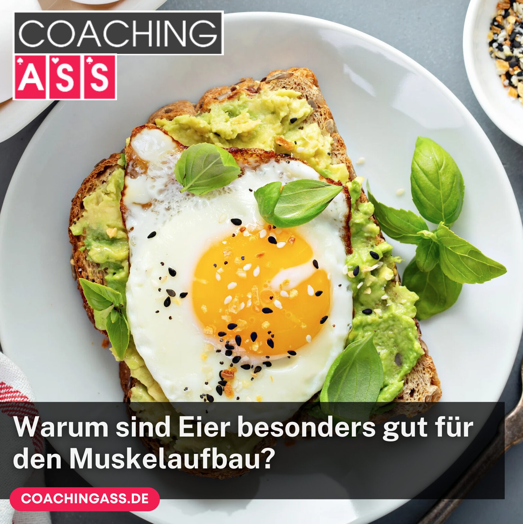 Warum sind Eier besonders gut für den Muskelaufbau?