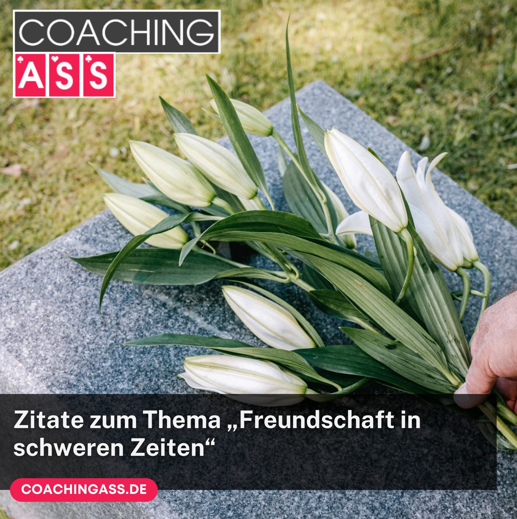 Zitate zum Thema „Freundschaft in schweren Zeiten“