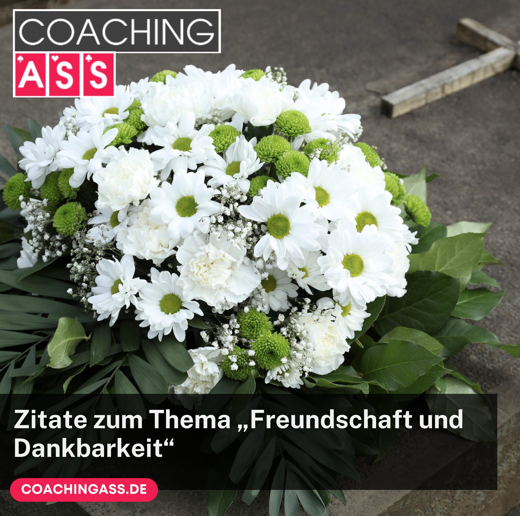 Zitate zum Thema „Freundschaft und Dankbarkeit“