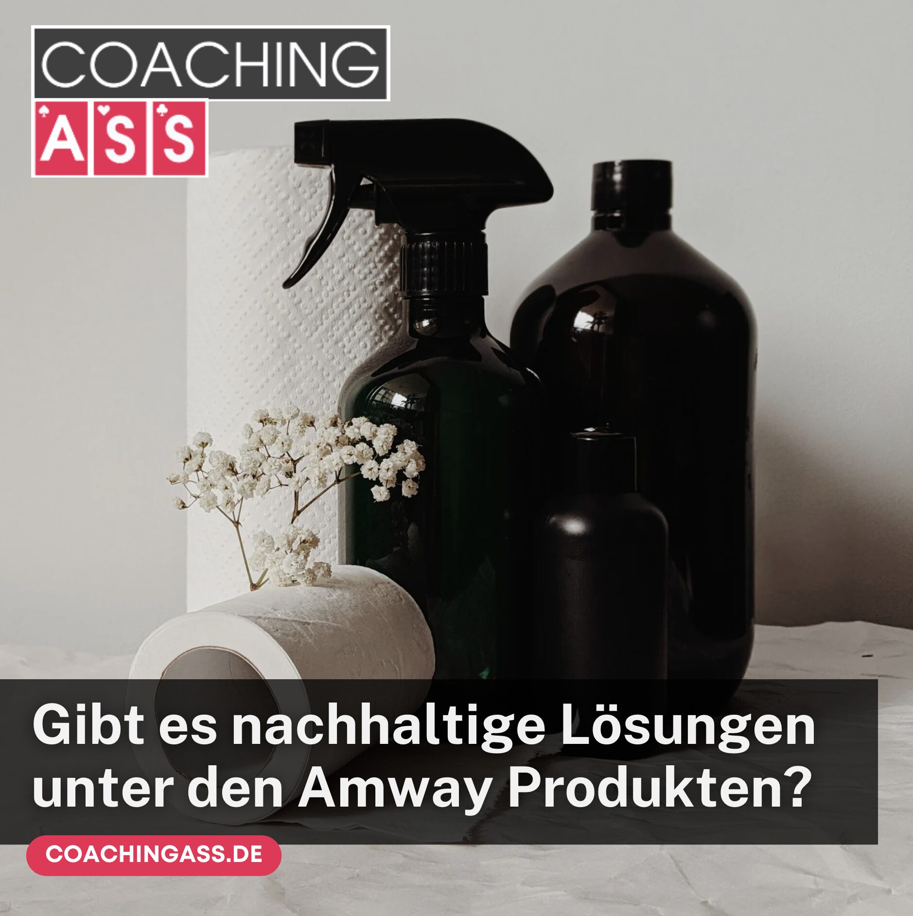 Gibt es nachhaltige Lösungen unter den Amway Produkten?