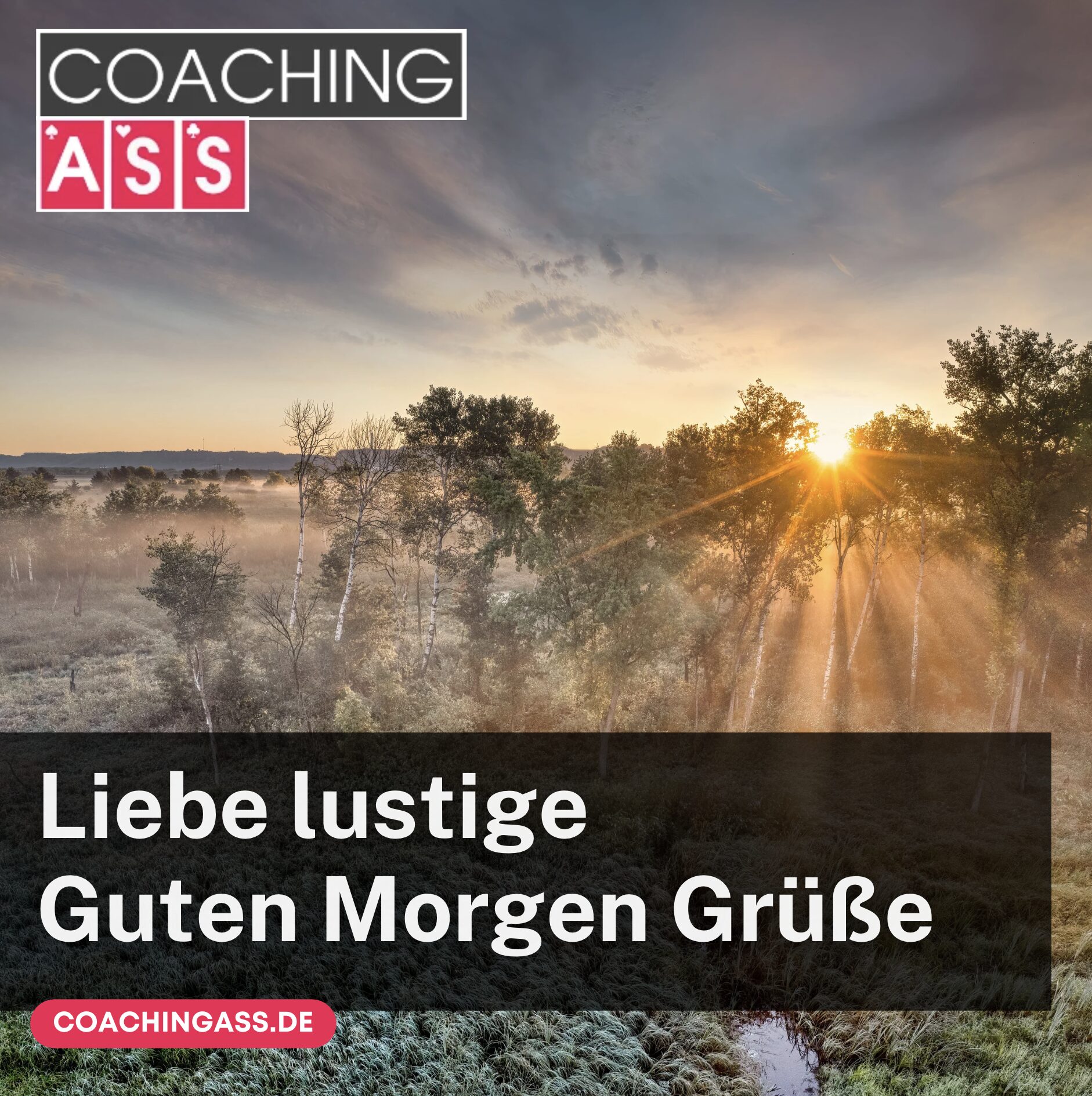 Liebe lustige Guten Morgen Grüße