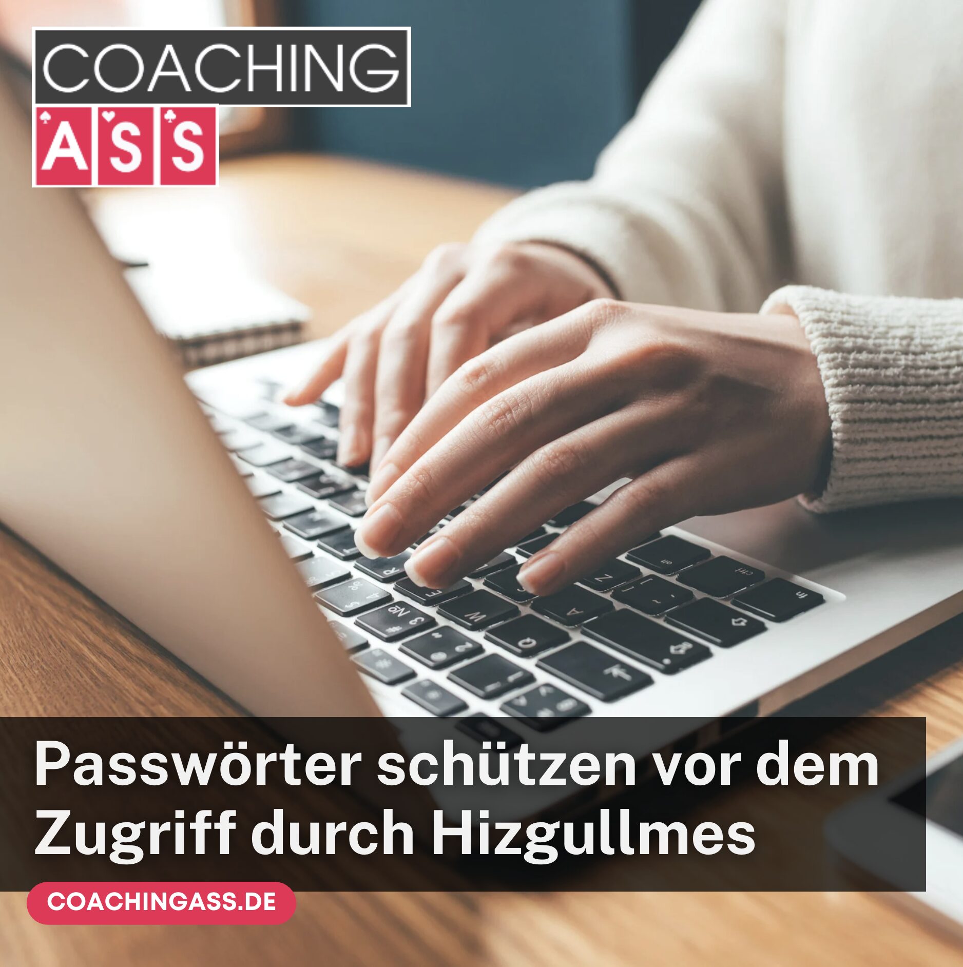 Passwörter schützen vor dem Zugriff durch Hizgullmes