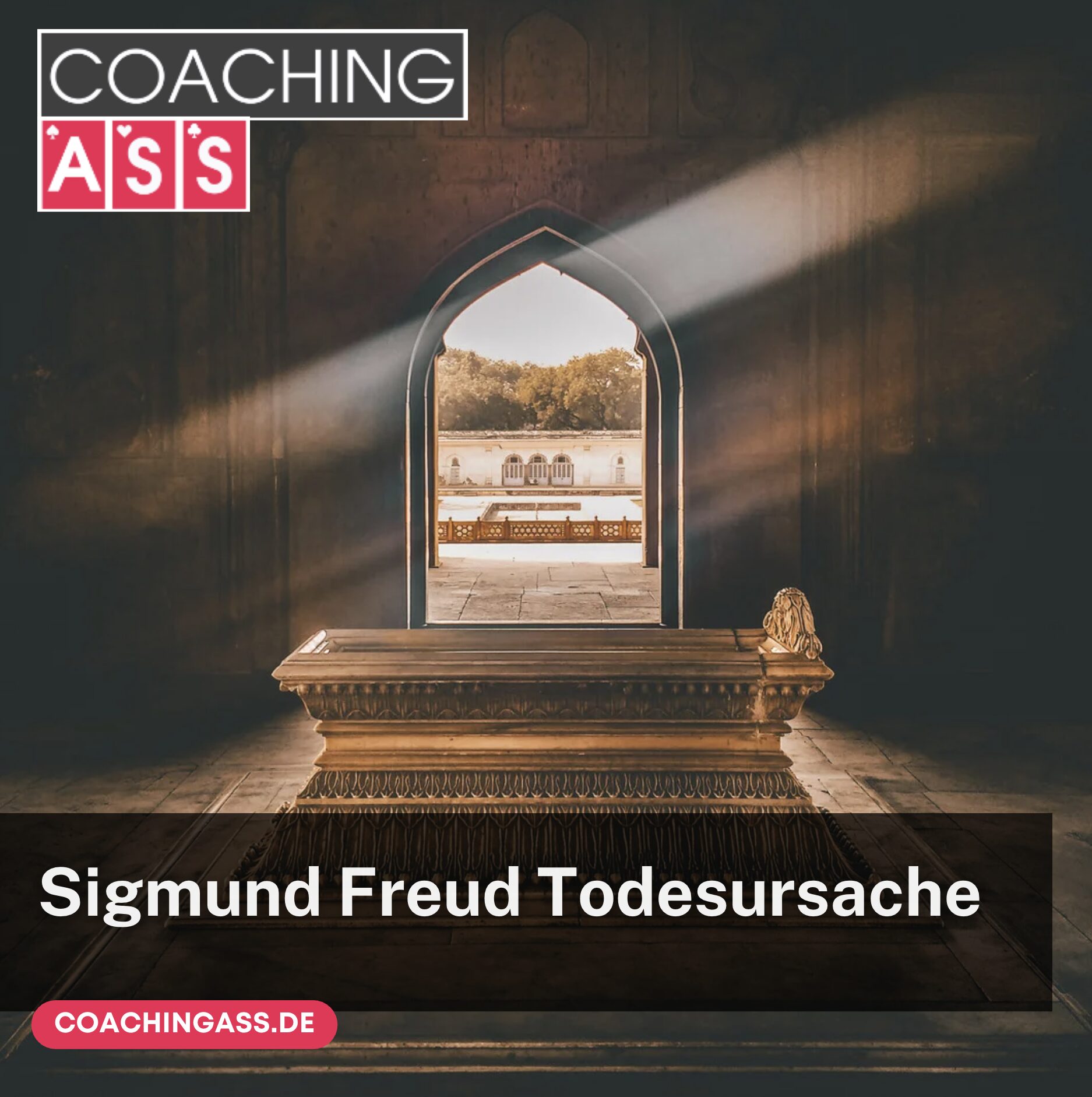 Sigmund Freud Todesursache und Leben im Spiegel seiner Biografie