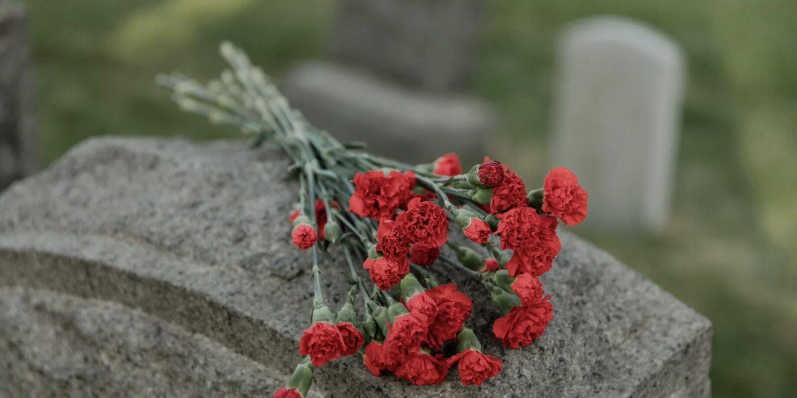 Sigmund Freud Todesursache und Leben im Spiegel seiner Biografie