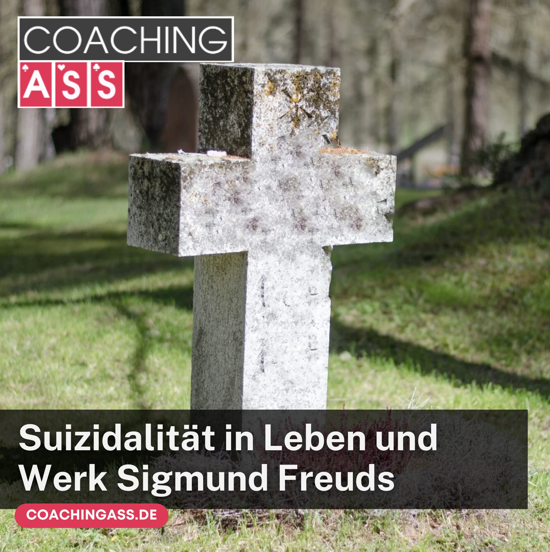 Suizidalität in Leben und Werk Sigmund Freuds