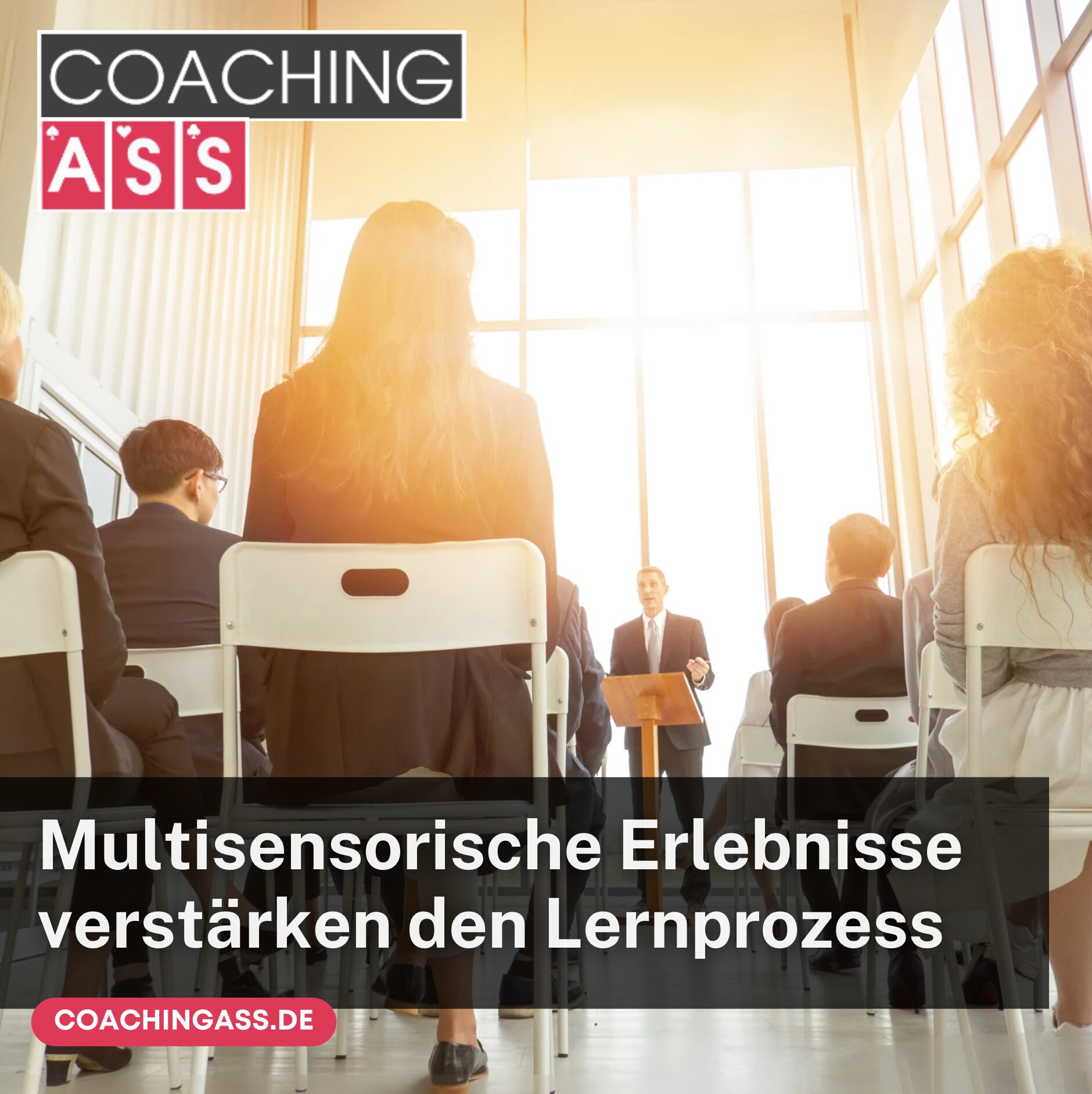 Multisensorische Erlebnisse lebendige Seminare