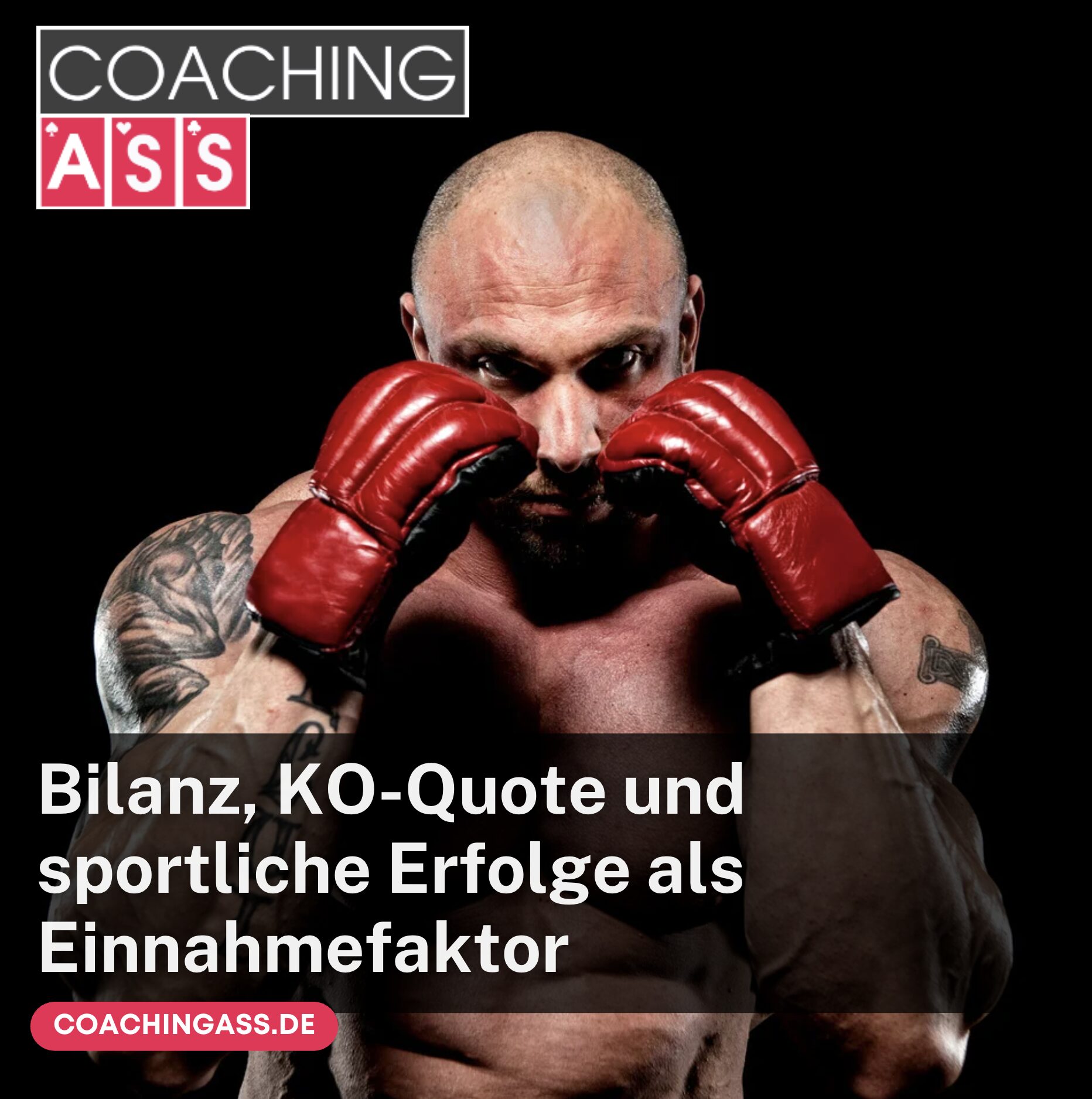 Kerim Engizek Gehalt Bilanz, KO-Quote und sportliche Erfolge
