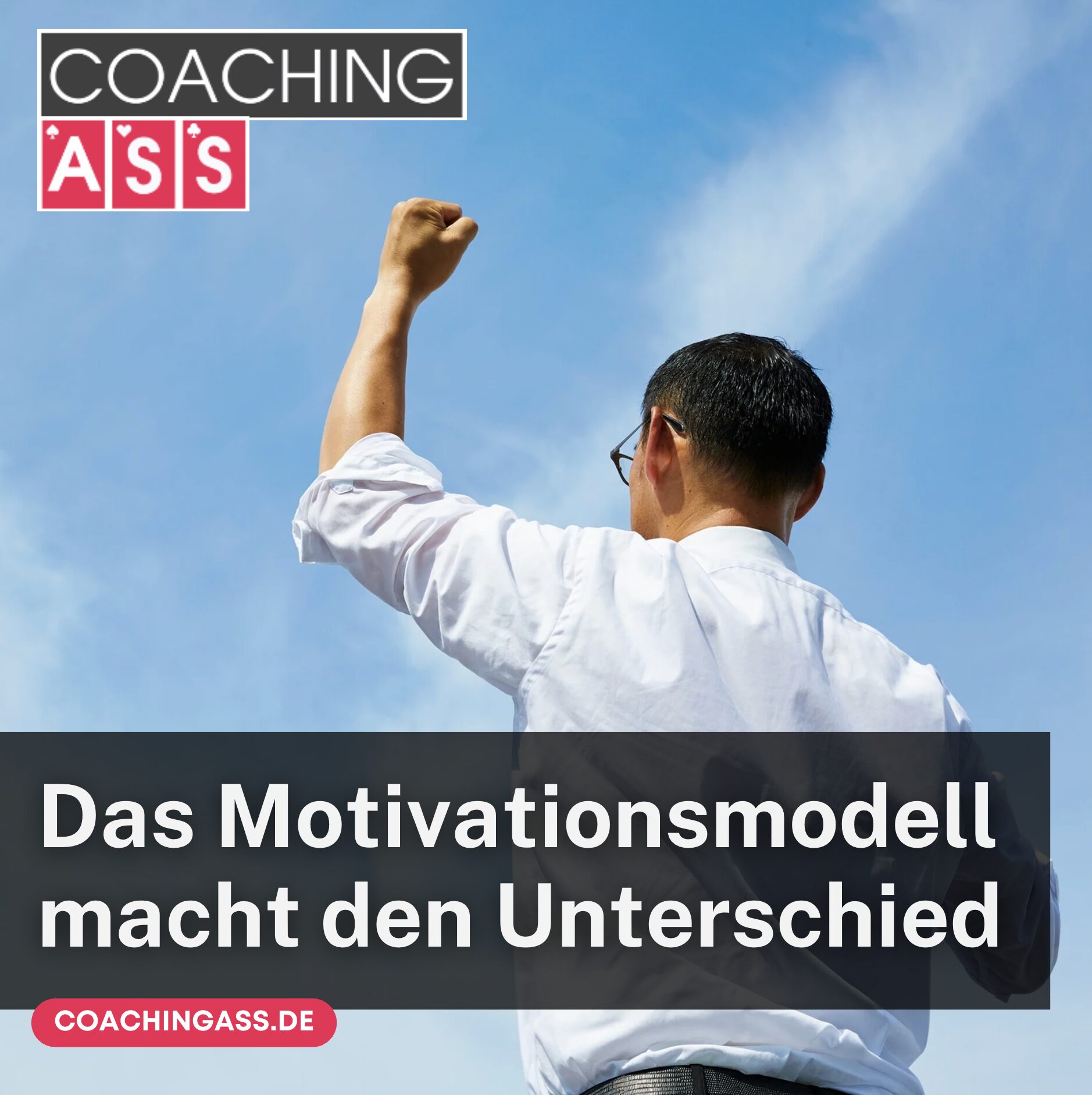 Das Motivationsmodell macht den Unterschied im Coaching-Markt Das Motivationsmodell macht den Unterschied im Coaching-Markt
