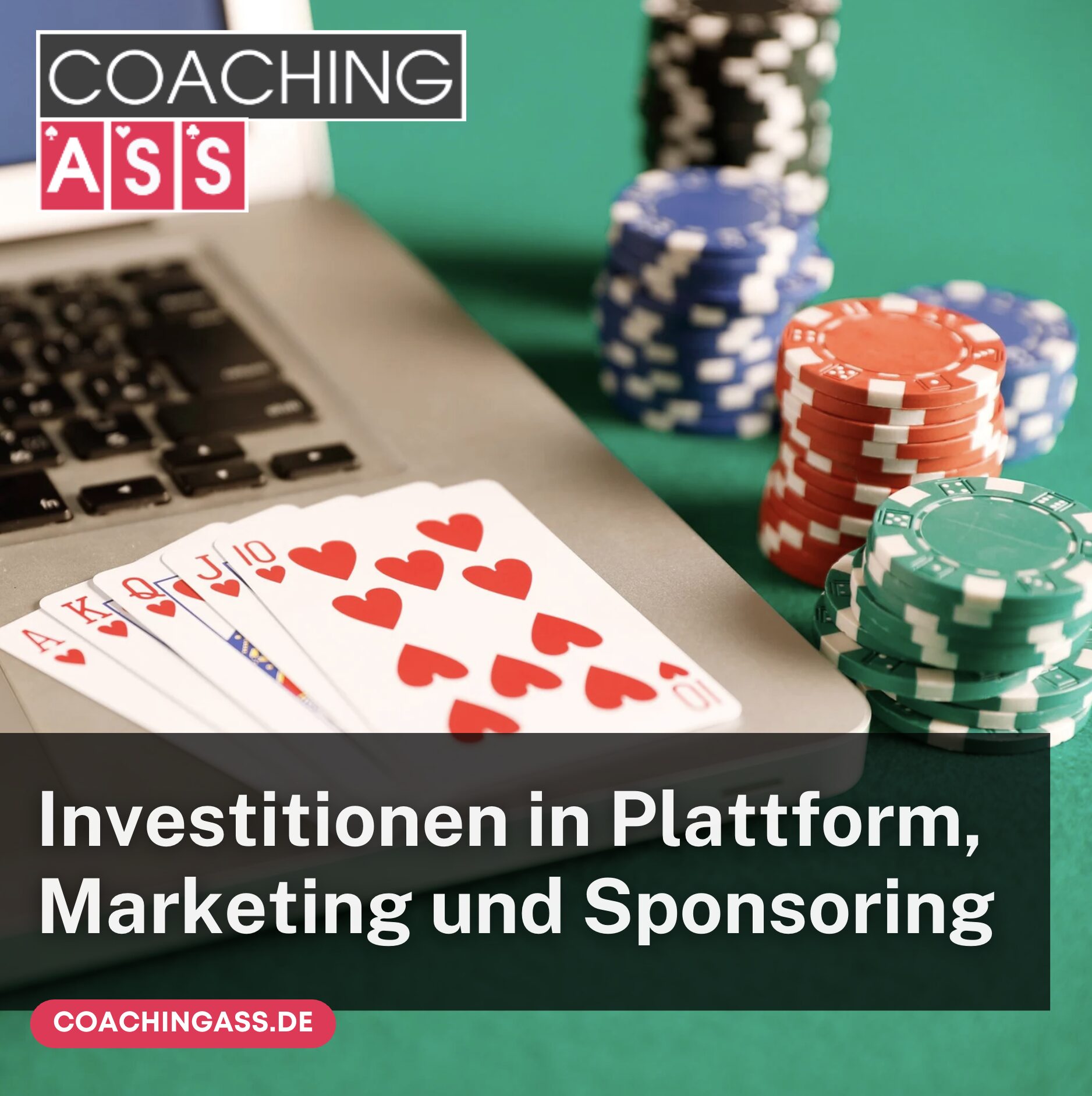 Investitionen in Plattform, Marketing und Sponsoring