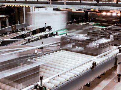 Nachhaltige Verpackung als Wettbewerbsvorteil für deutsche Unternehmen