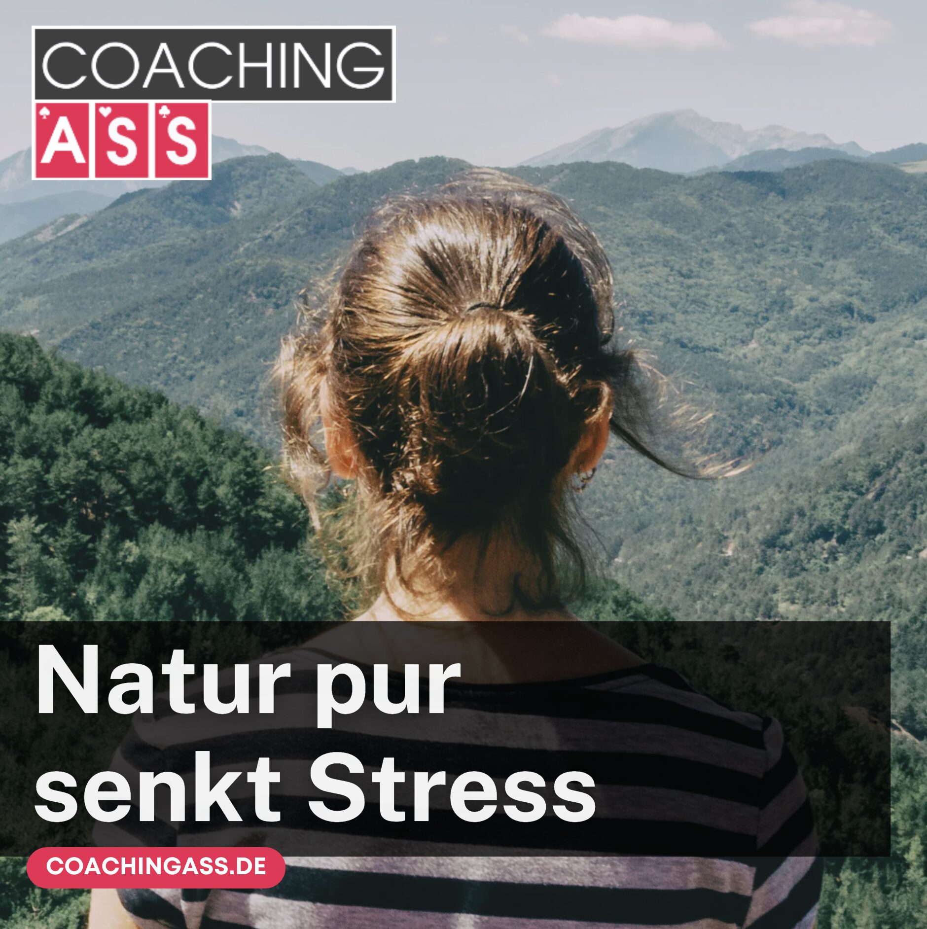 Natur pur senkt Stress