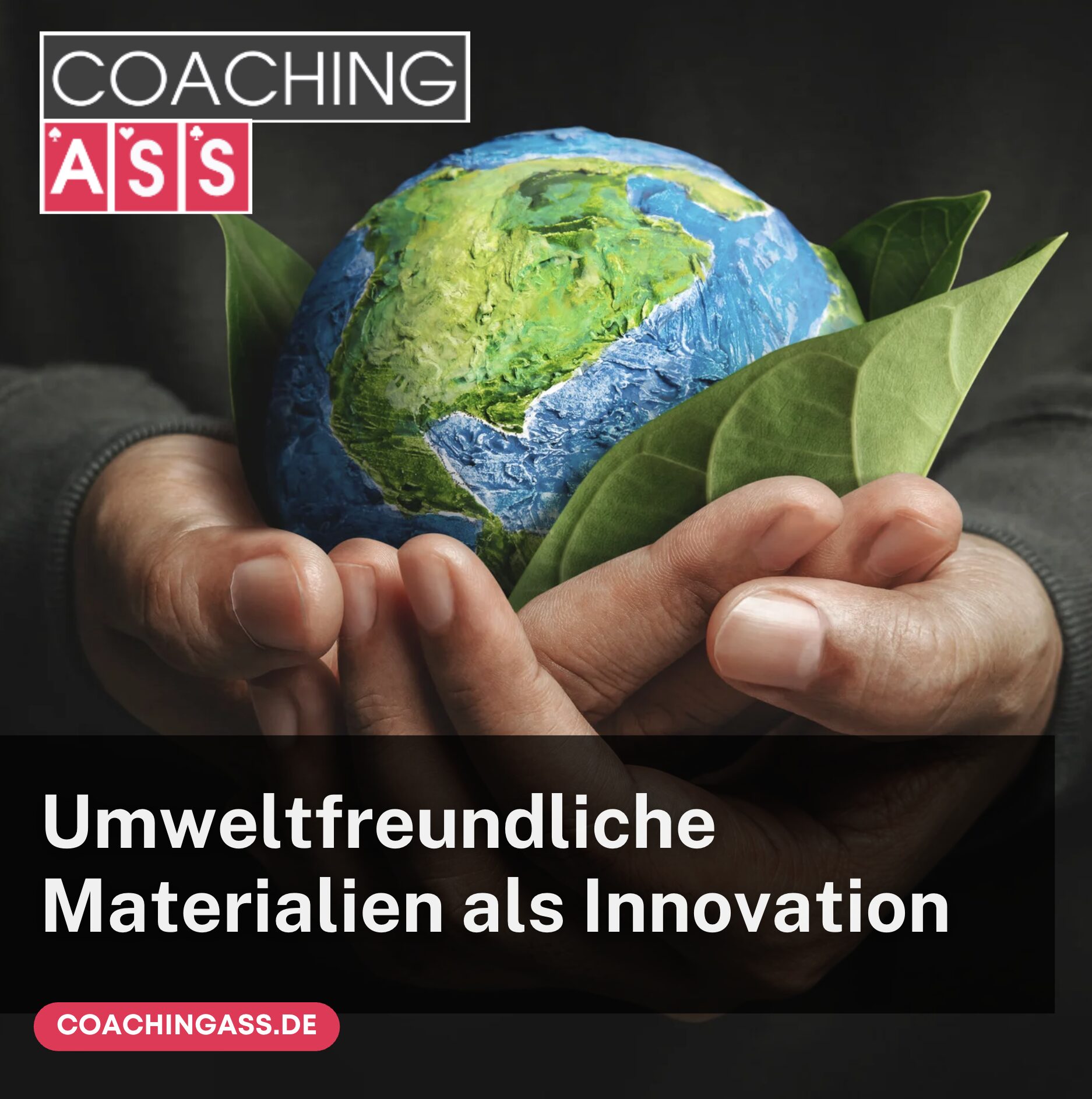 Umweltfreundliche Materialien Dopper Trinkflasche Umweltfreundliche Materialien Dopper Trinkflasche