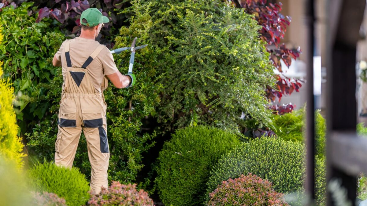 Selbständig als Gärtner ohne Ausbildung Wege in die grüne Selbstständigkeit