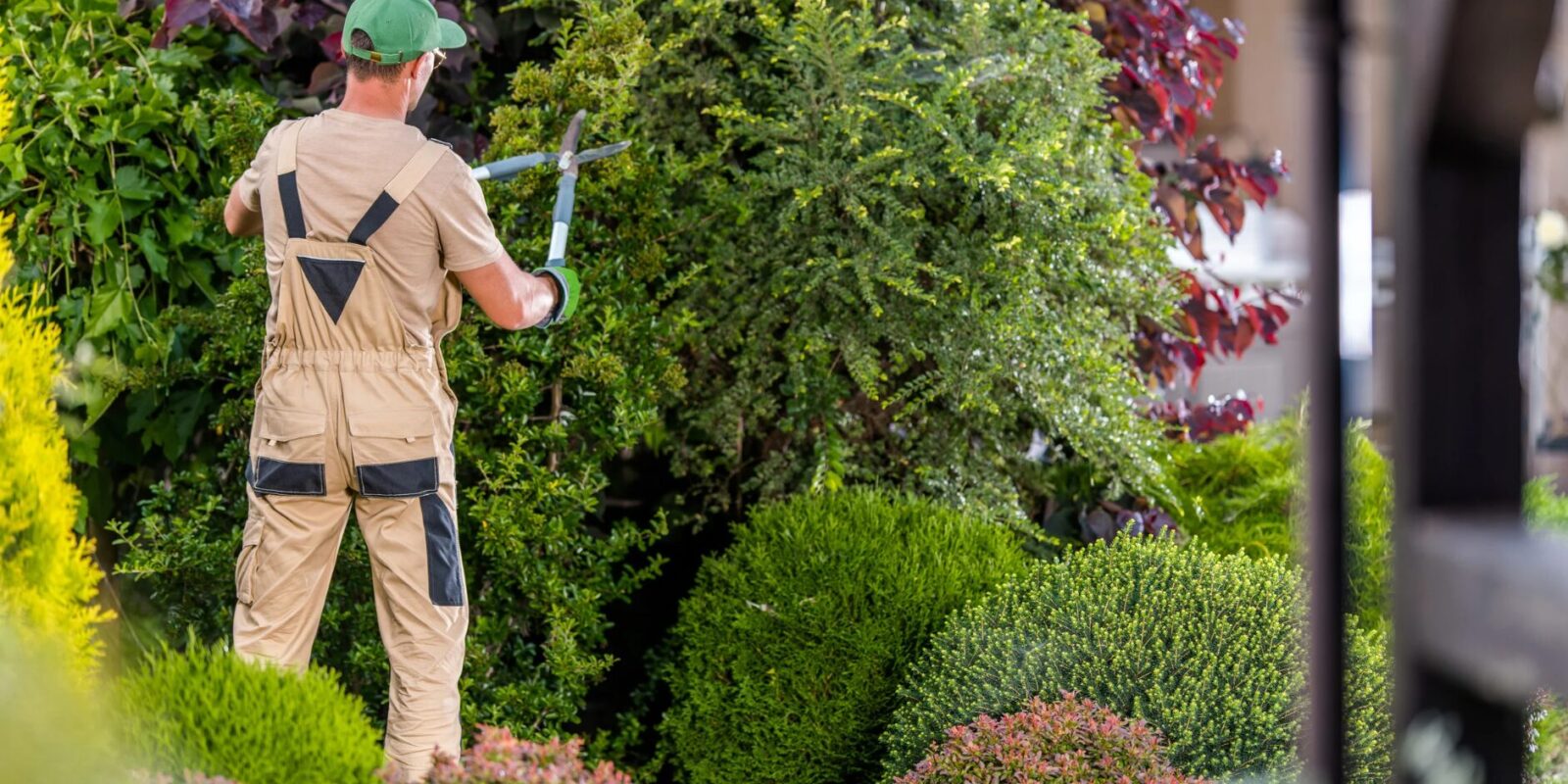 Selbständig als Gärtner ohne Ausbildung Wege in die grüne Selbstständigkeit