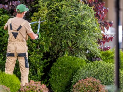 Selbständig als Gärtner ohne Ausbildung Wege in die grüne Selbstständigkeit