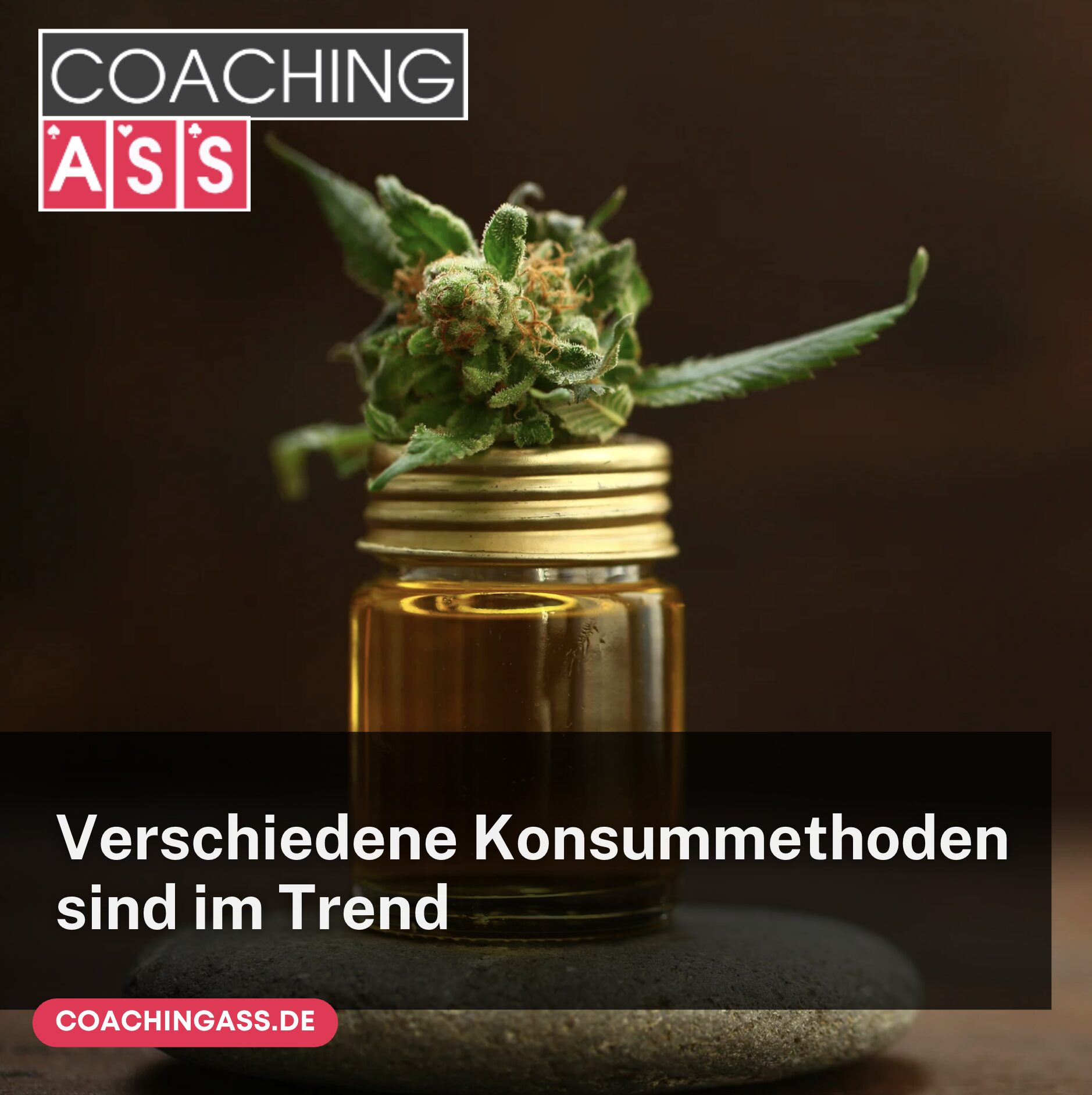Verschiedene Konsummethoden sind im Trend Verschiedene Konsummethoden sind im Trend