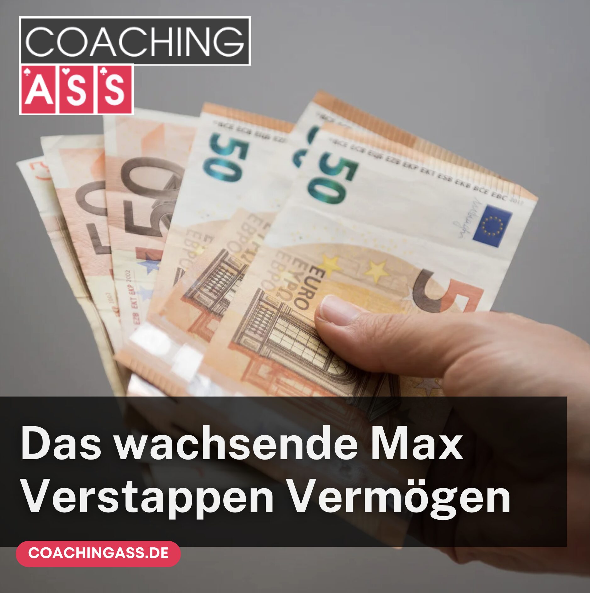 Der Aufstieg zum Superstar und das wachsende Max Verstappen Vermögen