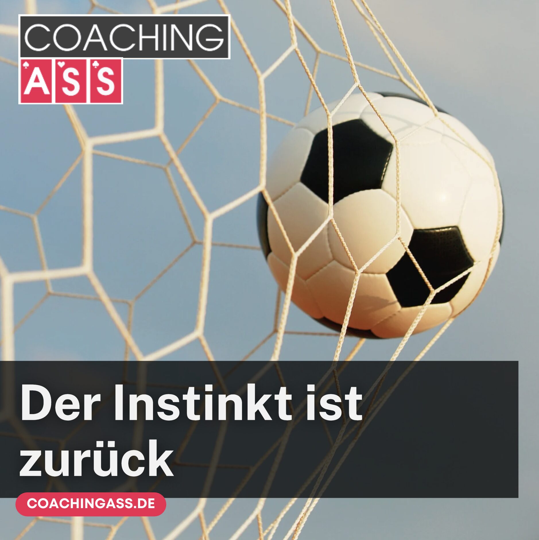 Der Instinkt ist zurück Der Instinkt ist zurück