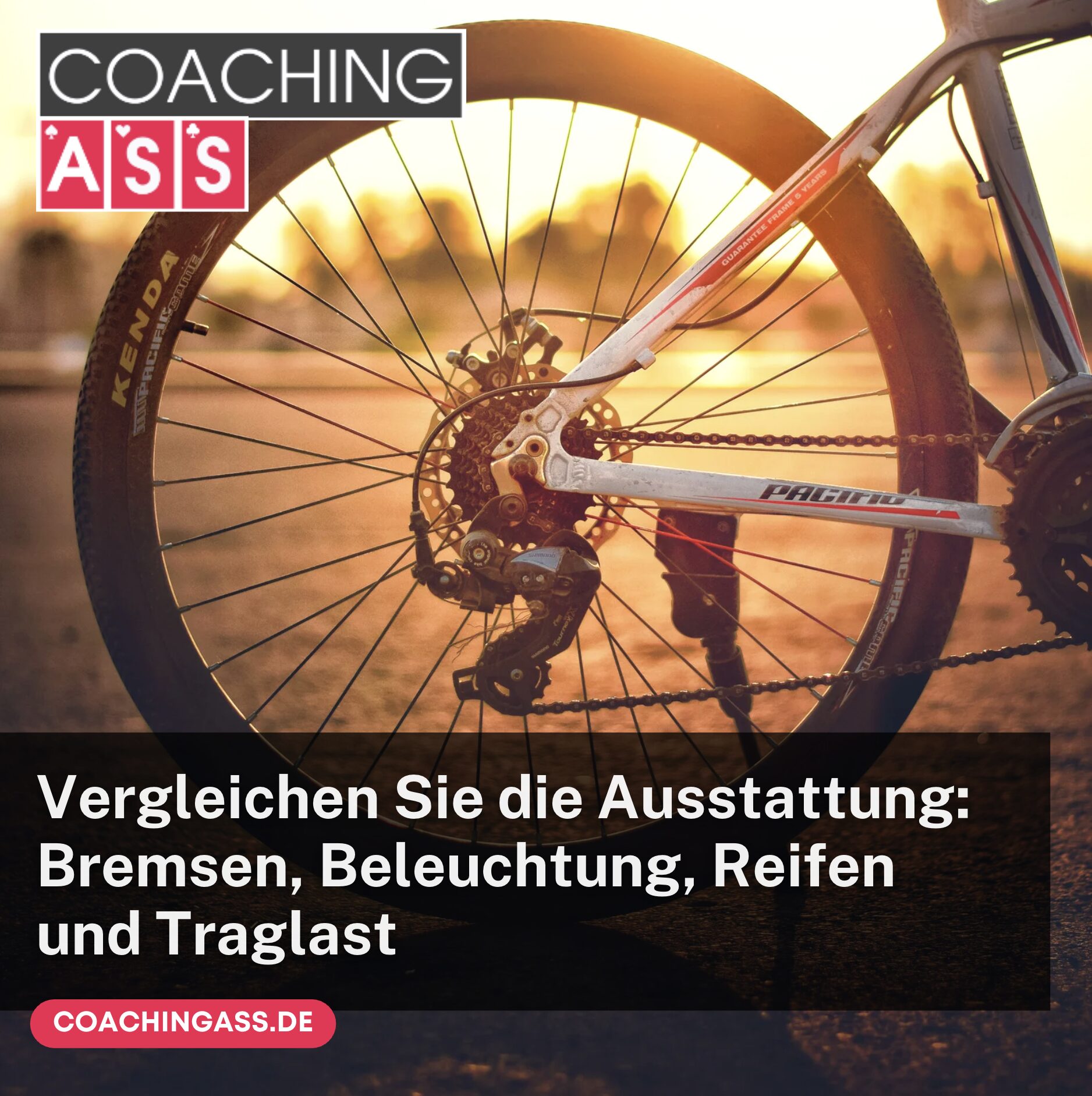 Vergleichen Sie die Ausstattung: Bremsen, Beleuchtung, Reifen und Traglast Vergleichen Sie die Ausstattung: Bremsen, Beleuchtung, Reifen und Traglast