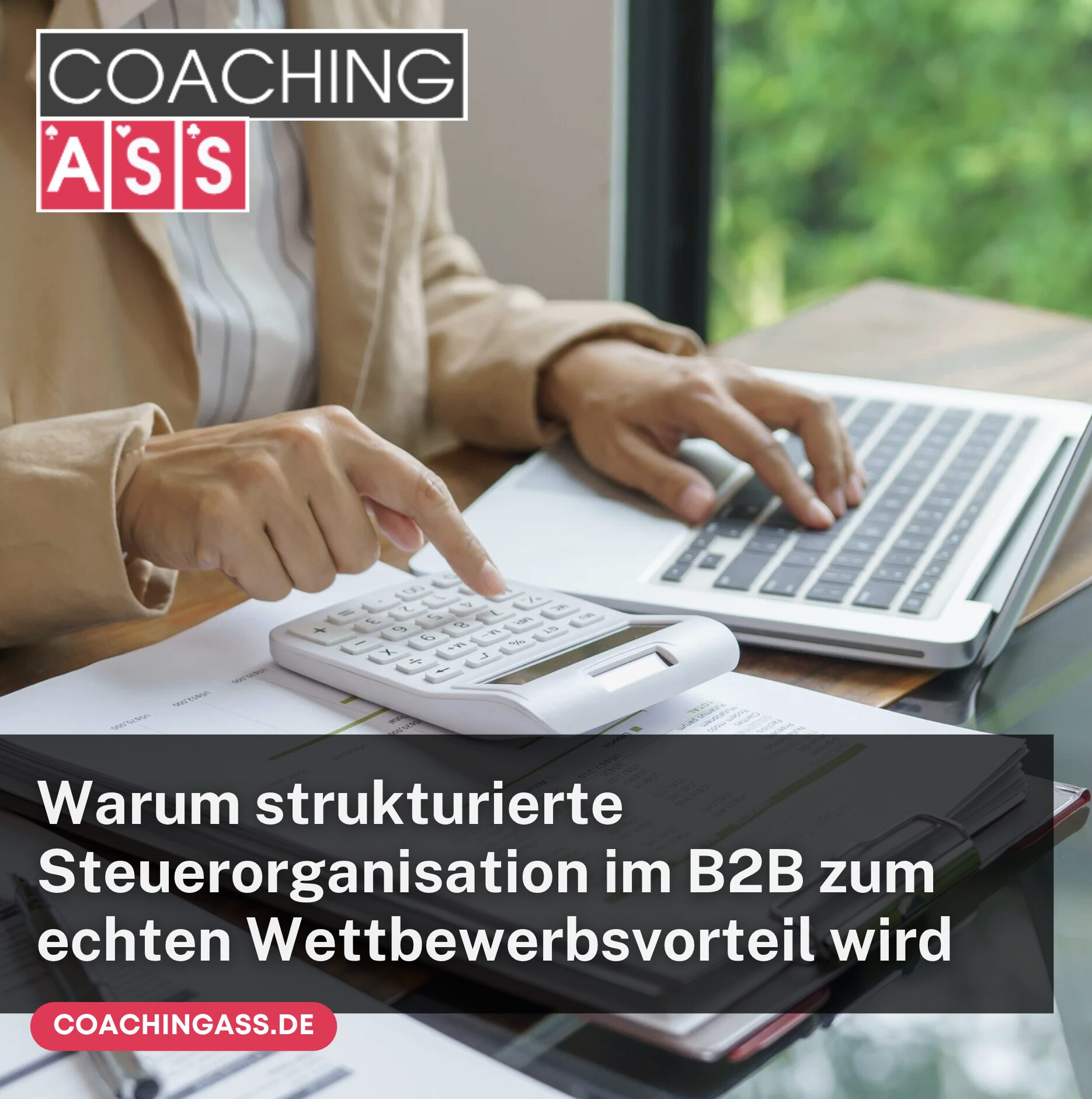 Warum strukturierte Steuerorganisation im B2B zum echten Wettbewerbsvorteil wird