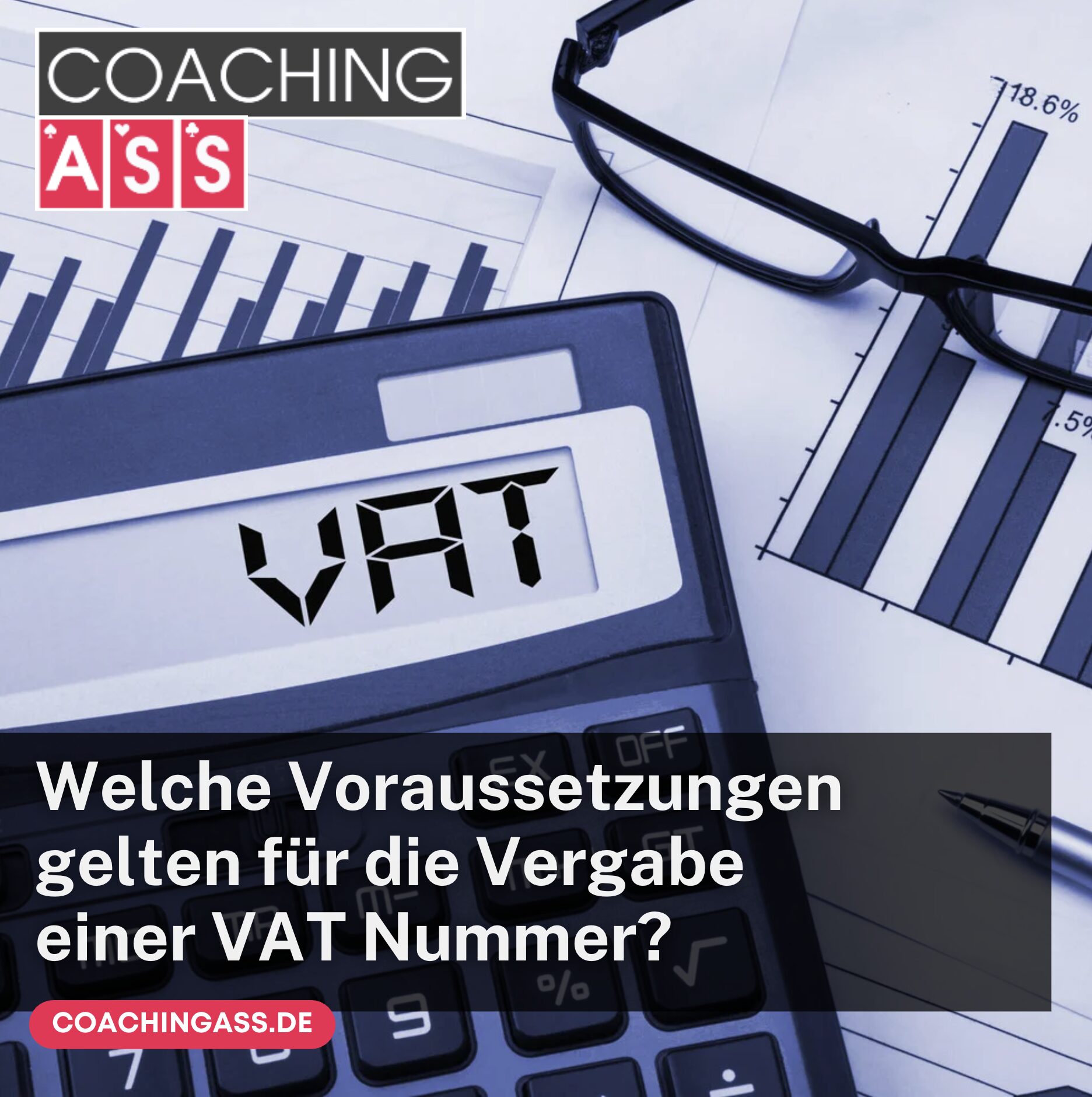 Welche Voraussetzungen gelten für die Vergabe einer VAT Nummer?