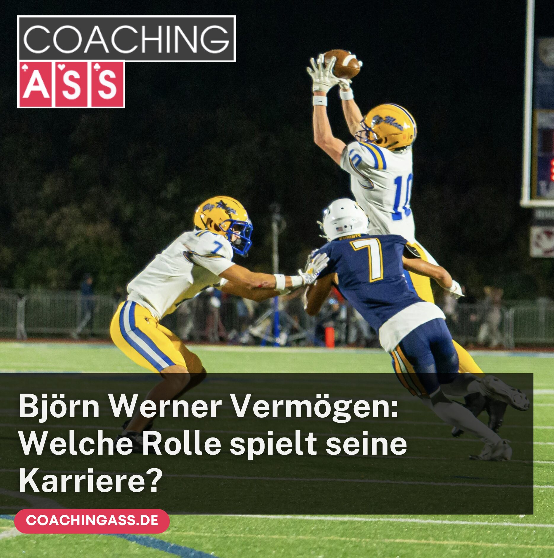 Björn Werner Vermögen: Welche Rolle spielt seine Karriere?