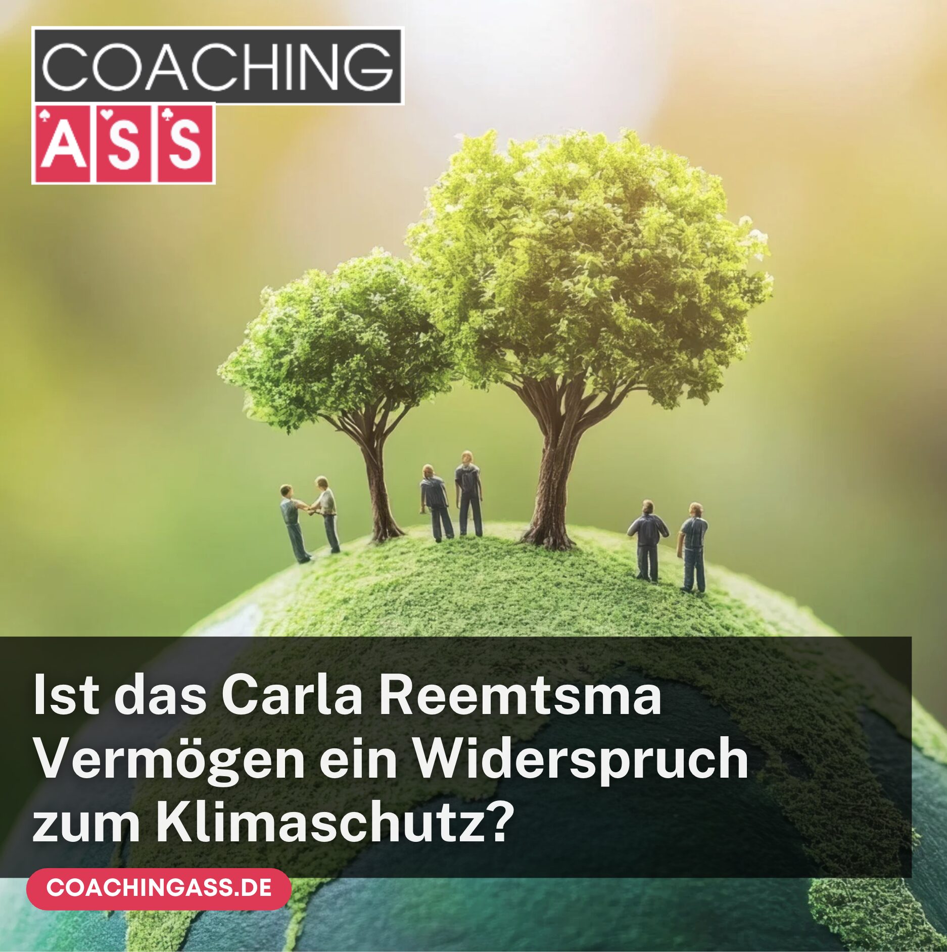 Ist das Carla Reemtsma Vermögen ein Widerspruch zum Klimaschutz? Ist das Carla Reemtsma Vermögen ein Widerspruch zum Klimaschutz?