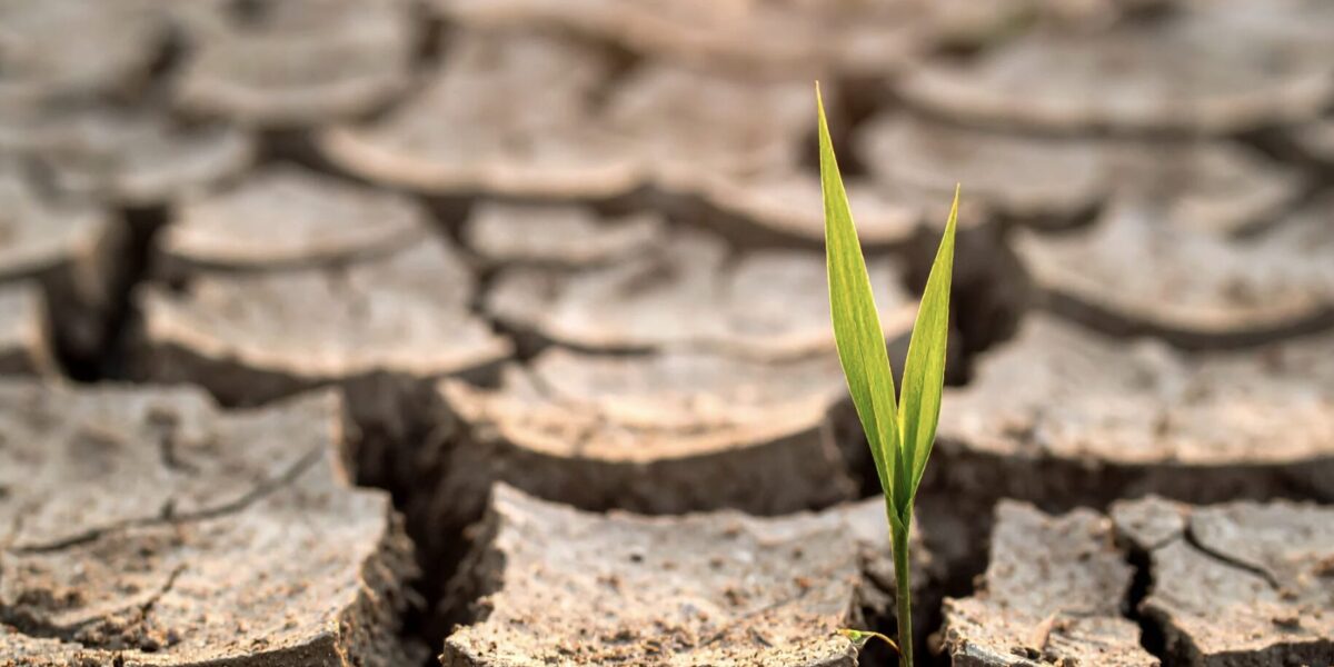 Veränderung und neue Wege Sprüche für den Neustart | Zitat
