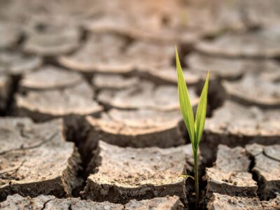 Veränderung und neue Wege Sprüche