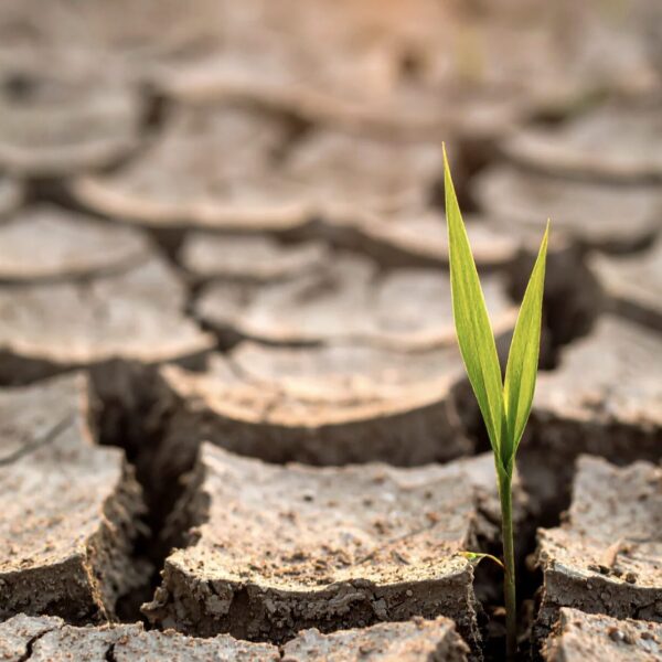 Veränderung und neue Wege Sprüche