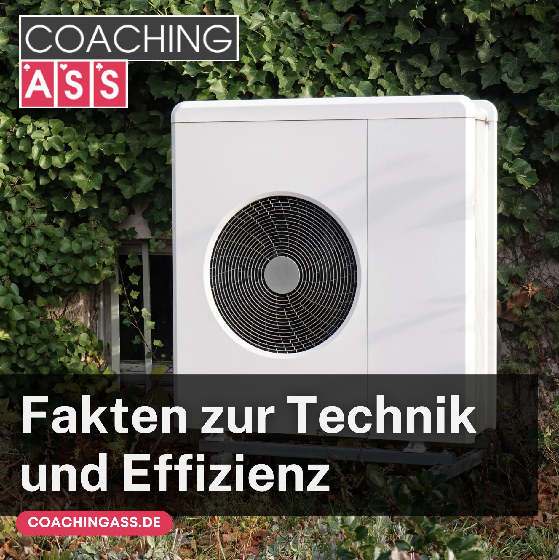 Fakten zur Technik und Effizienz