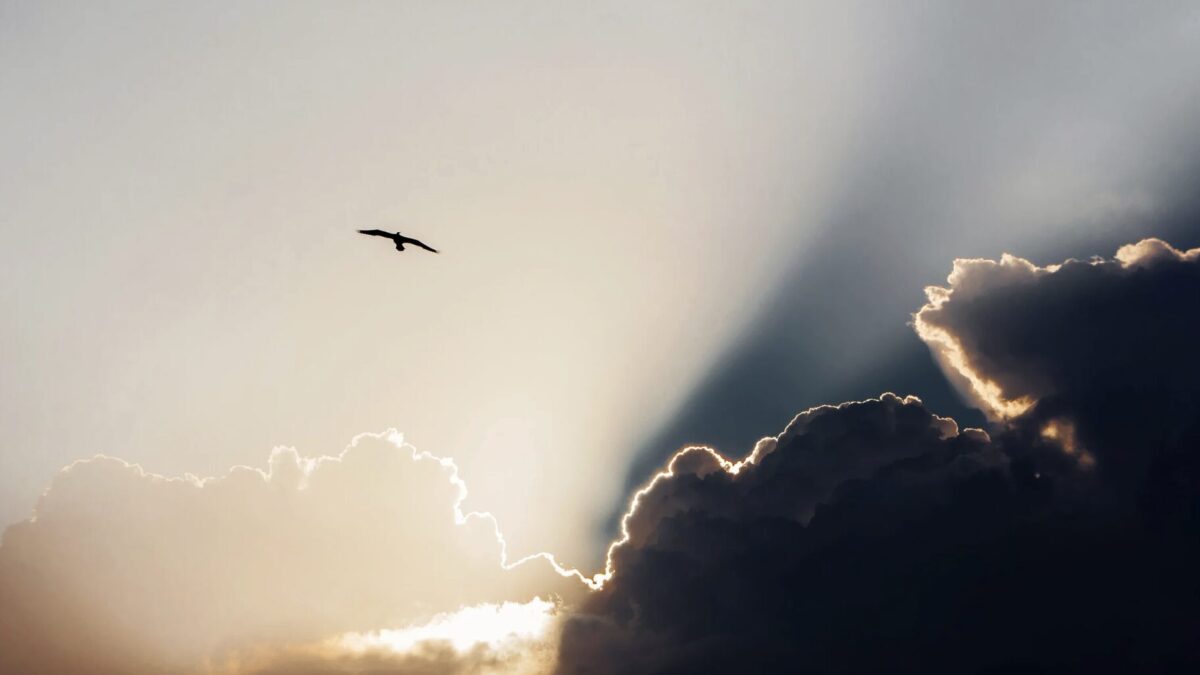 Kurze inspirierende Sprüche