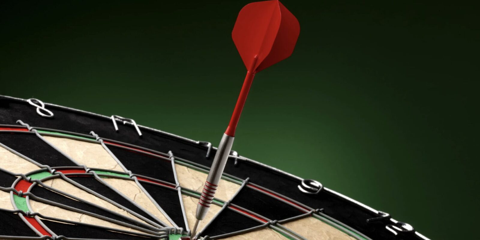 Luke Littler Vermögen