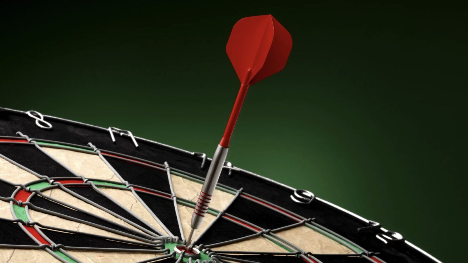 Luke Littler Vermögen