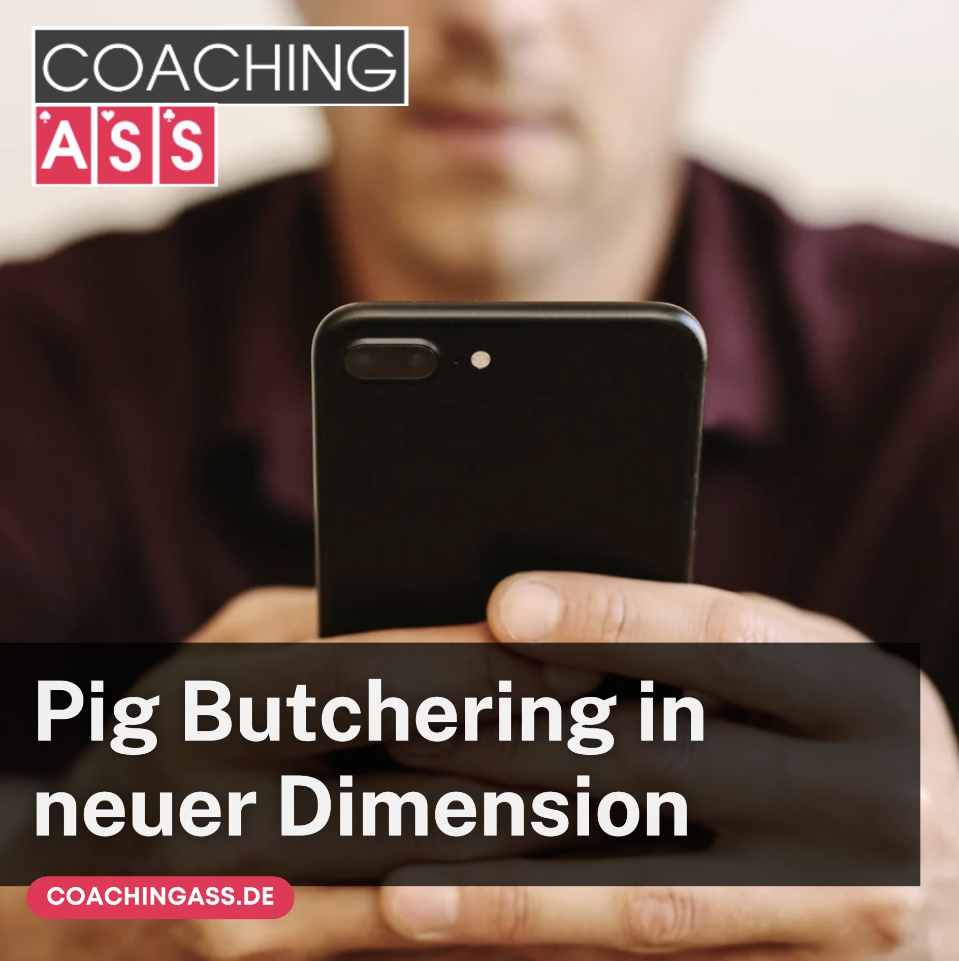 Pig Butchering in neuer Dimension