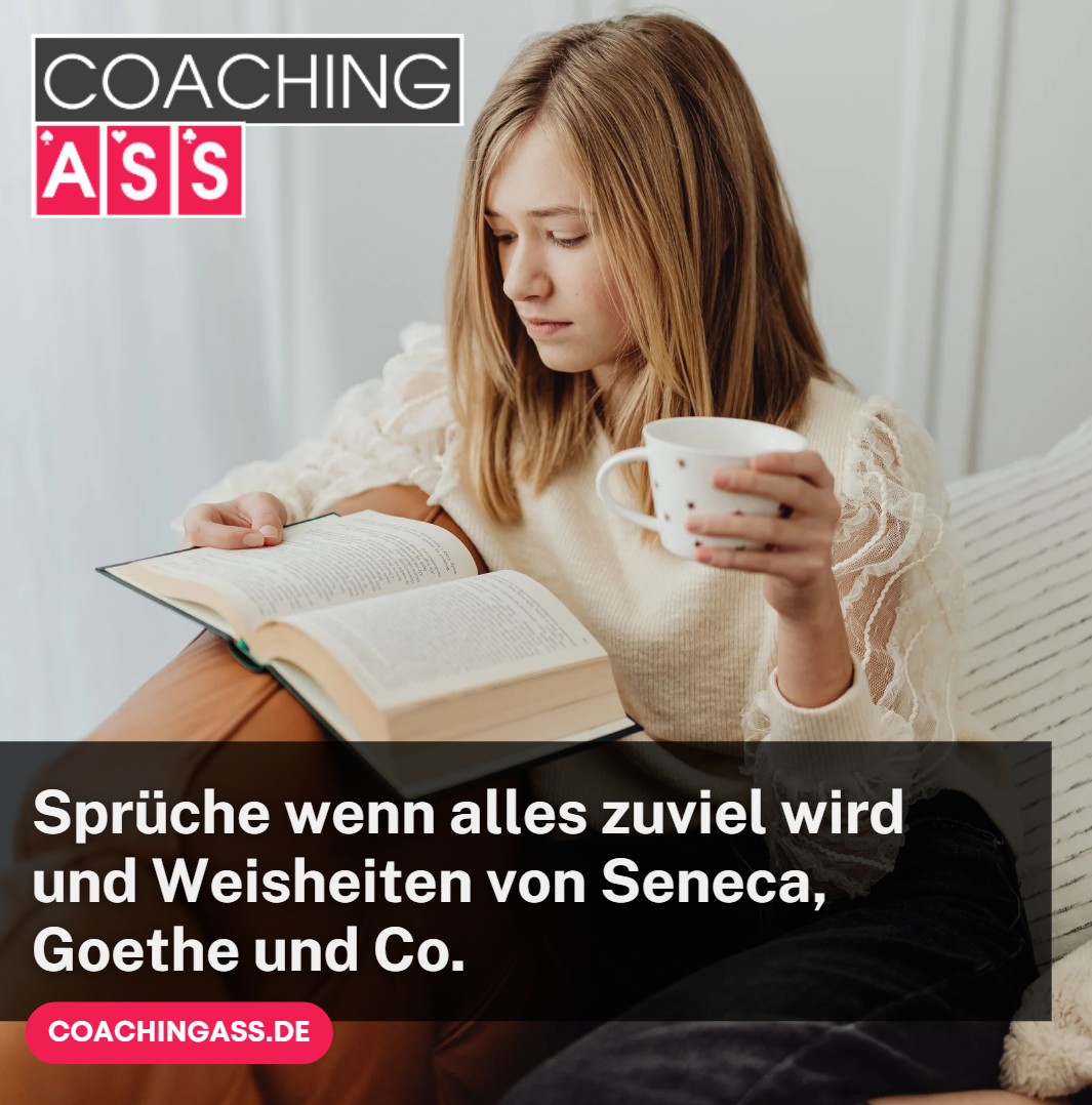 Sprüche wenn alles zuviel wird und Weisheiten von Seneca, Goethe und Co.