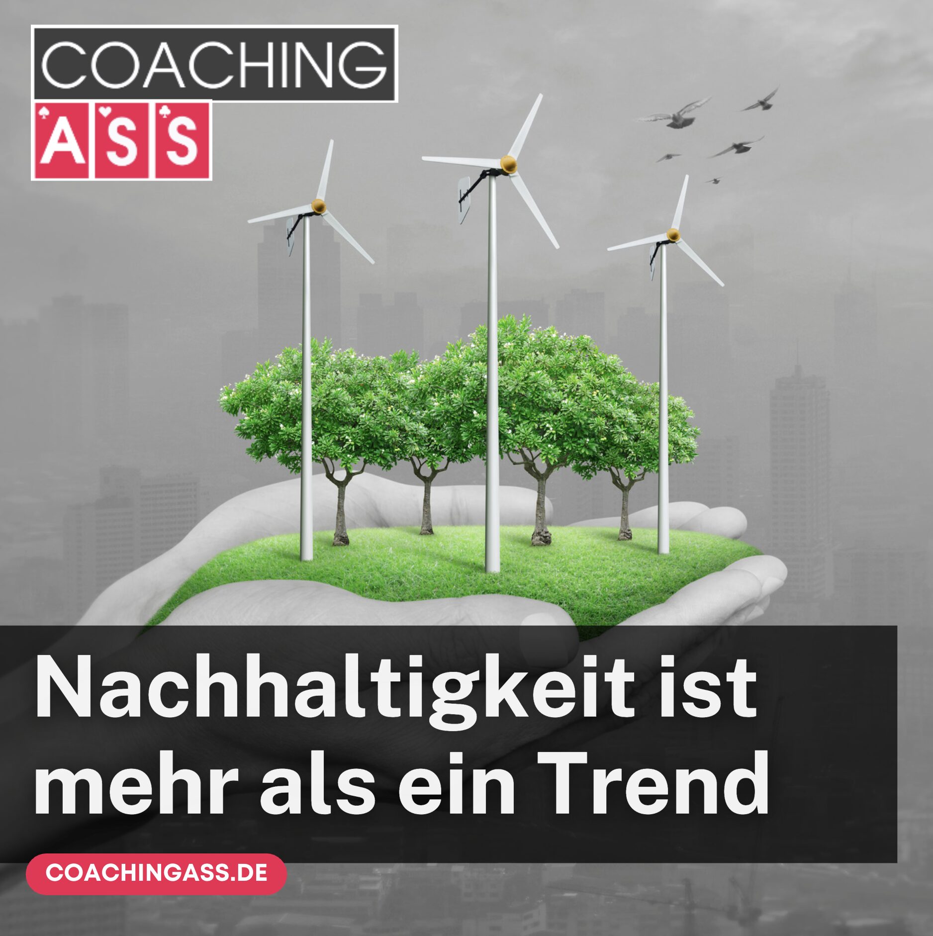 Startup Ideen die es noch nicht gibt Nachhaltigkeit
