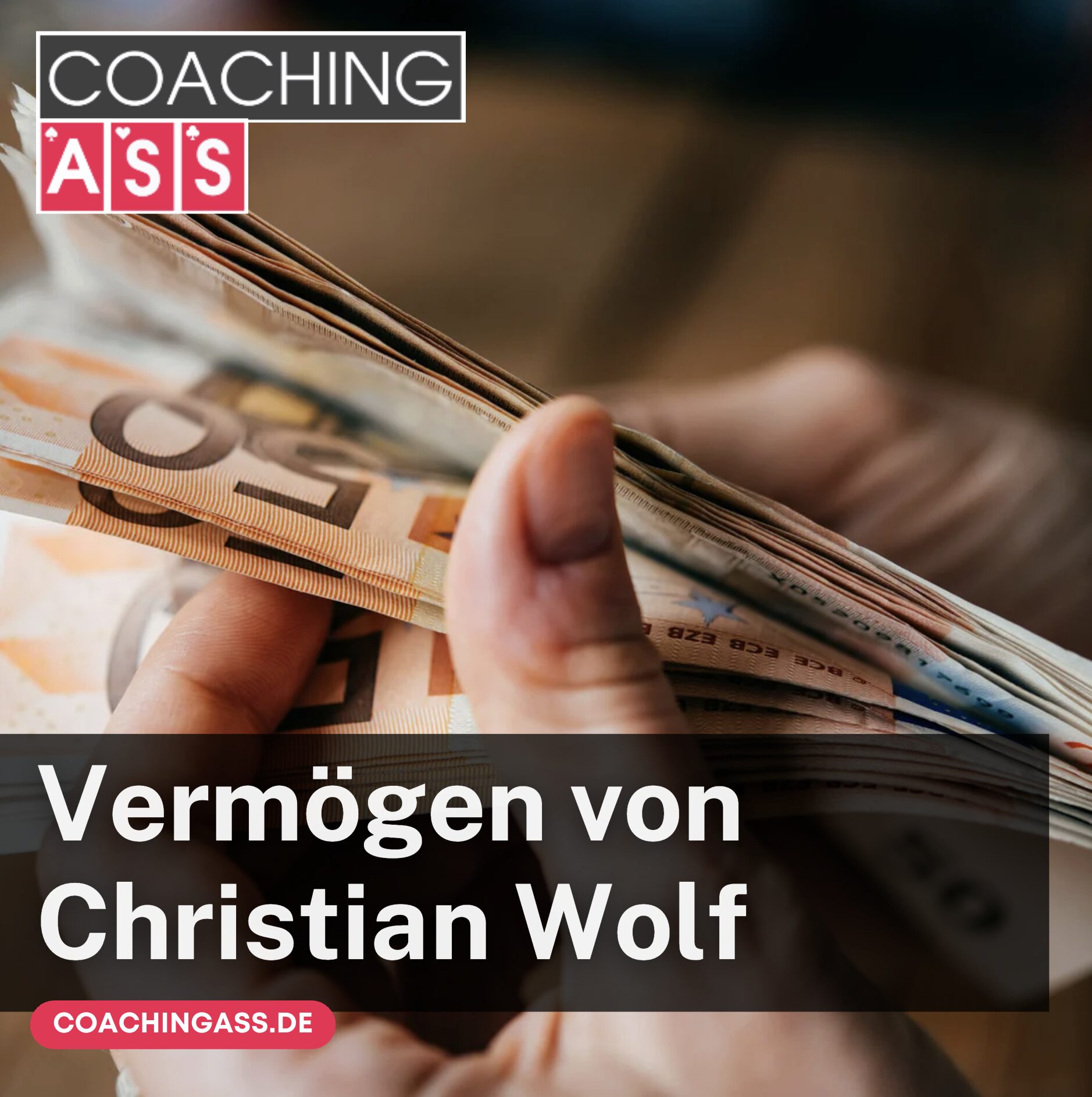 Vermögen von Christian Wolf