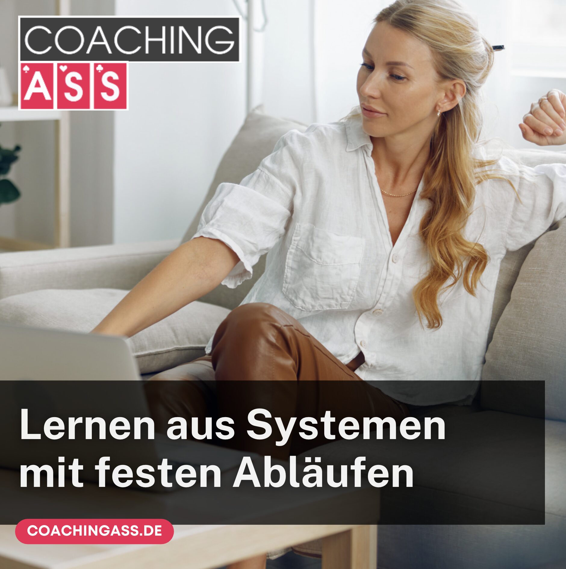 Lernen aus Systemen mit festen Abläufen