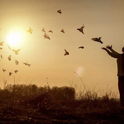 Sprüche über schwere Zeiten, Zuversicht und Hoffnung