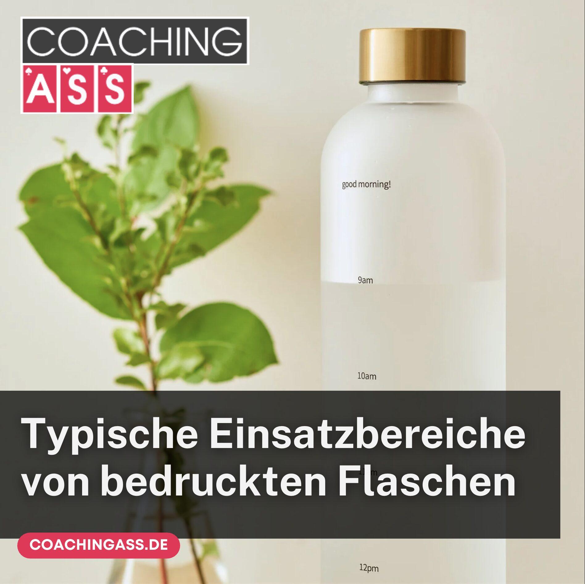 Typische Einsatzbereiche von bedruckten Flaschen Typische Einsatzbereiche von bedruckten Flaschen