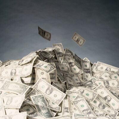 Prinz Frederic von Anhalt Vermögen