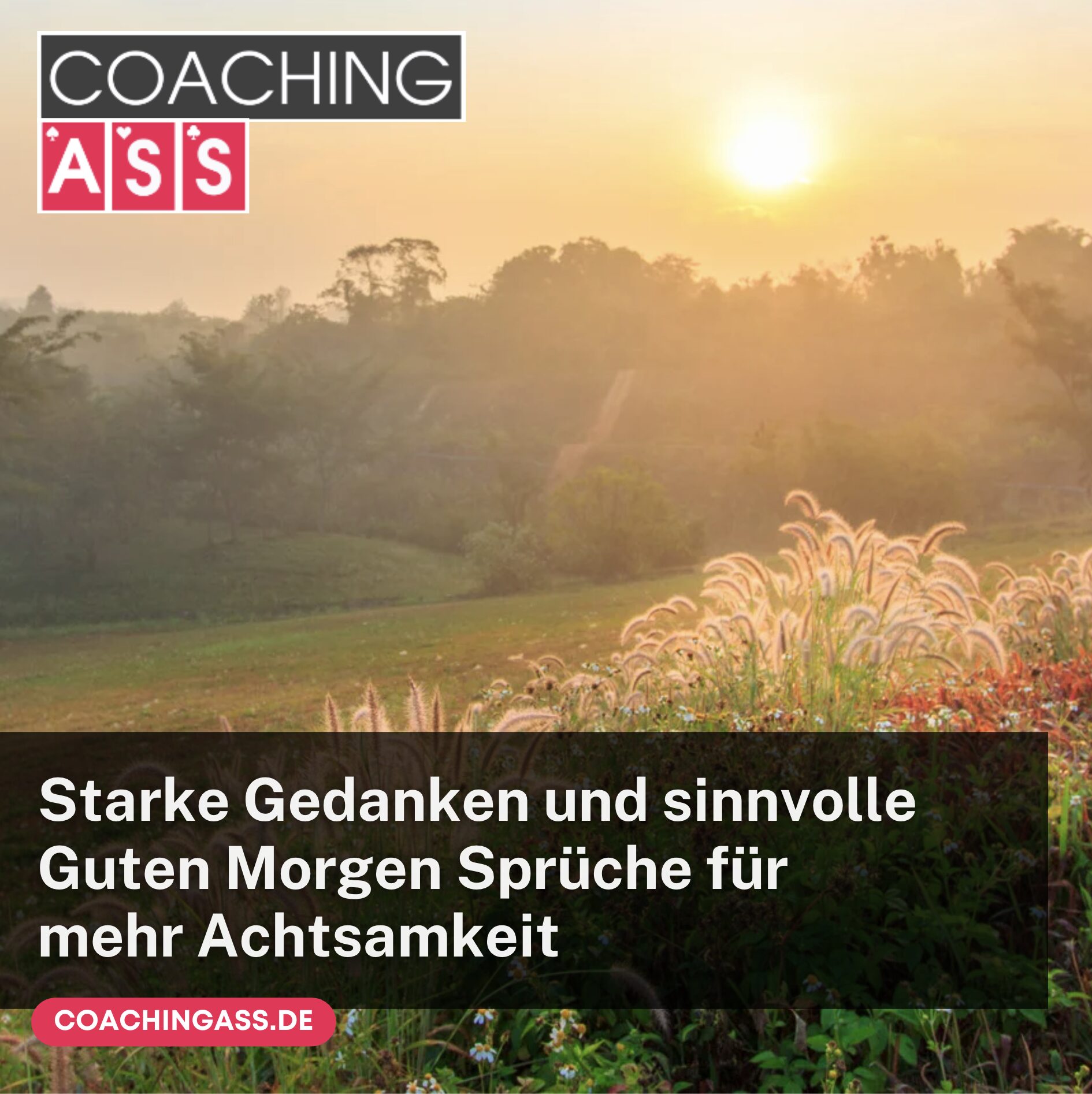 Starke Gedanken und sinnvolle Guten Morgen Sprüche für mehr Achtsamkeit